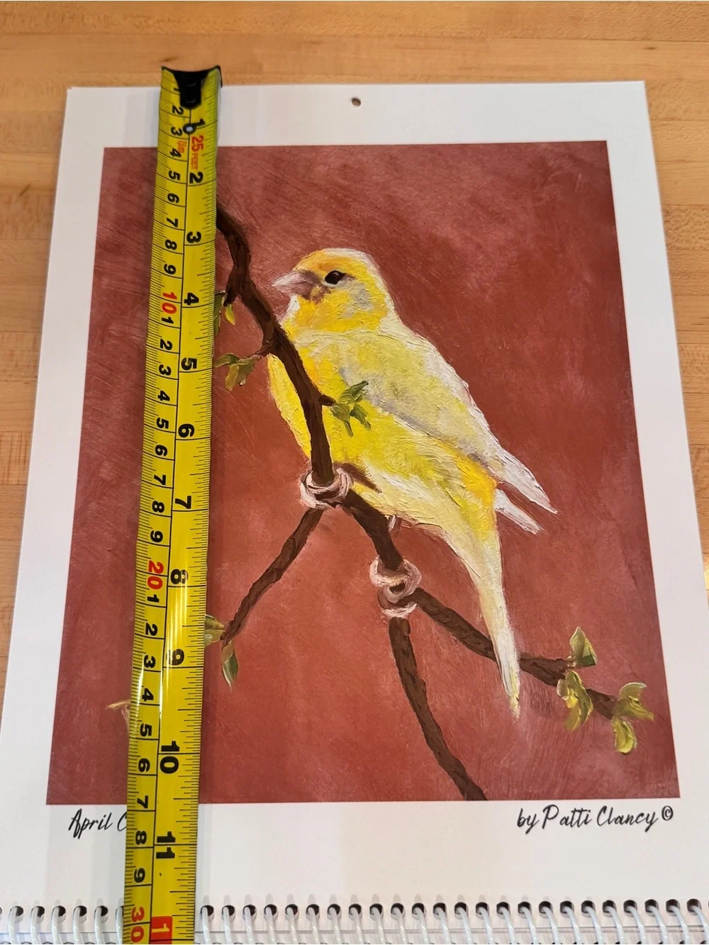 12 Birds of the Month for Framing or Crafting original oil paintings P. Clancy